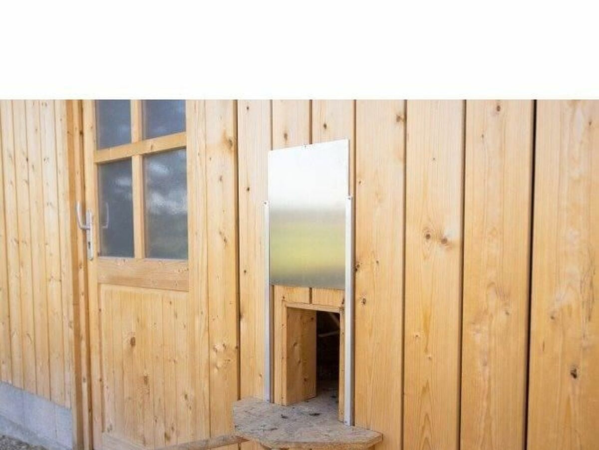 V6HA19420BDD5FAA03CE19BD3654474BFDDR5568319P2