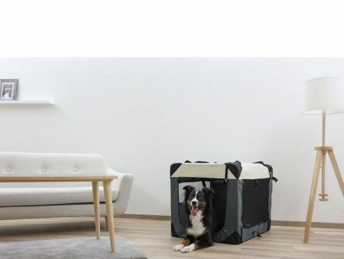 V9H475C1B218037A9417D0A6D1B1B15AA3DR6396027P5