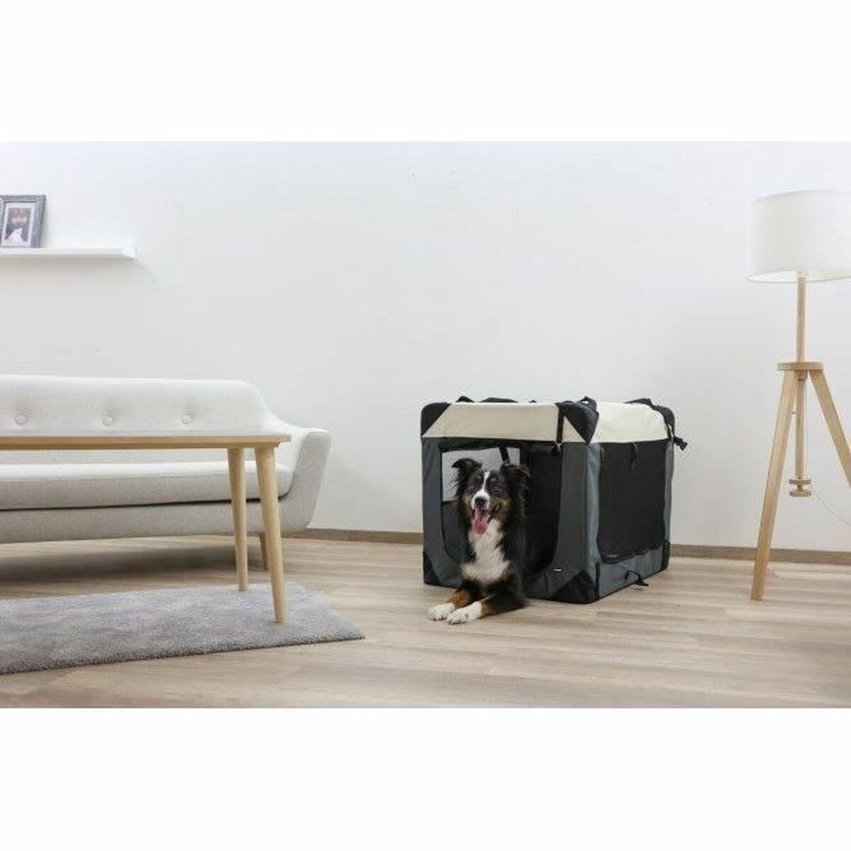 V7H475C1B218037A9417D0A6D1B1B15AA3DR6396027P5