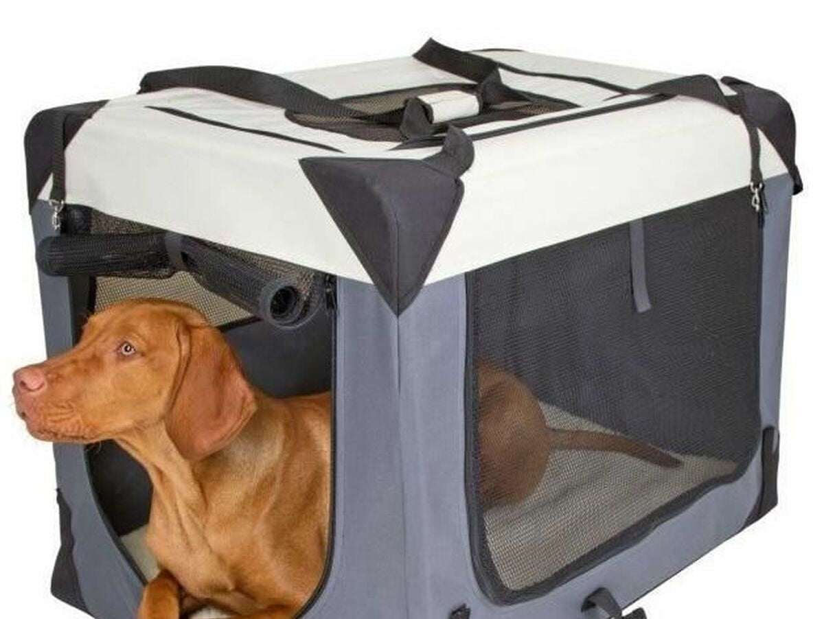 V6HB26B891B71A03B8B9BA0577CC9AE30DCR4896859P2