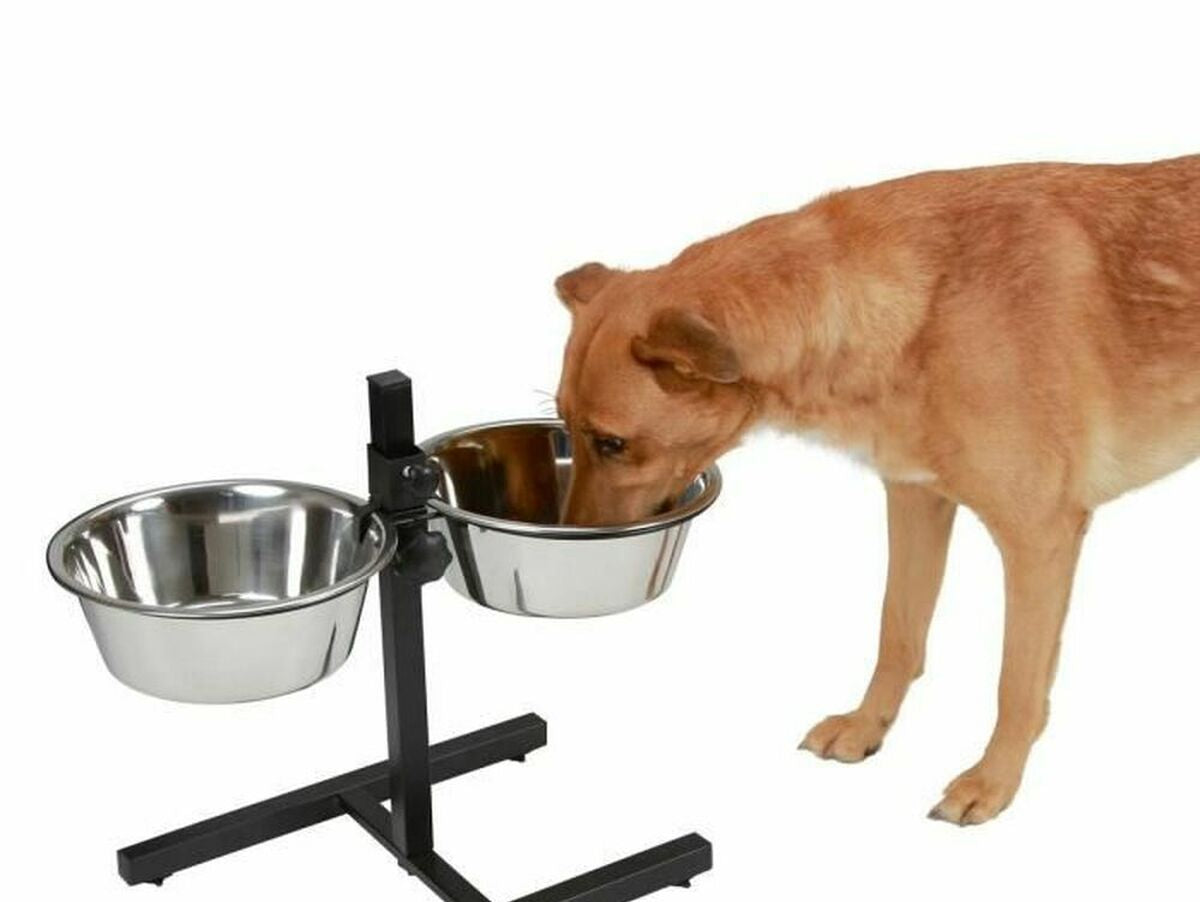 V7H5B6F75107D89127C2548876C265646B5R5501373P1