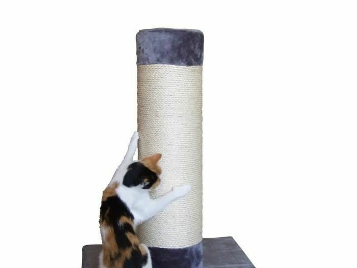 V8H28EC3F1515D72CF355DA166932DD8465R6400490P1