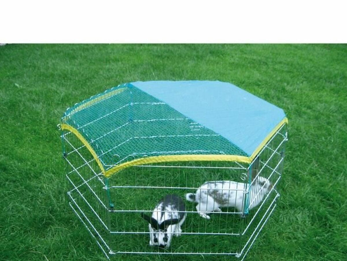 V6HAEFE8CB3EF729953D6D3875FB09D1F35R4412832P2