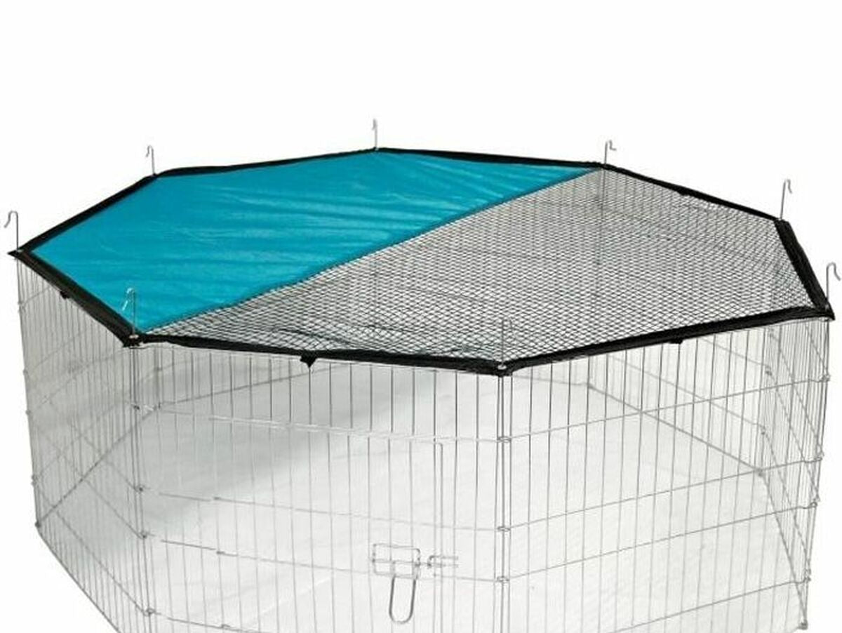 V8H6B060D2D81A7DA113541773657319AC7R6659459P1