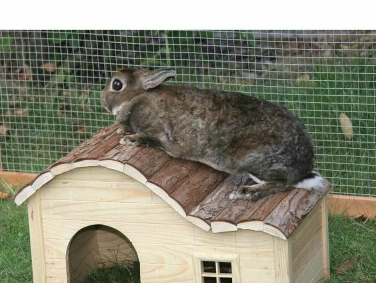 V9H4992DD904B476631AE2AB3B2E0D8B165R5126108P1