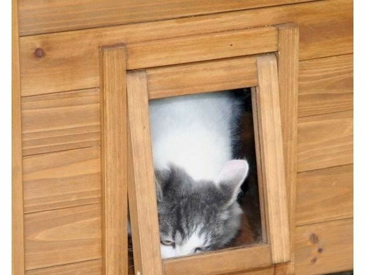 V5H783FD511BEBD54DB26C6DE698C64534FR7255050P2