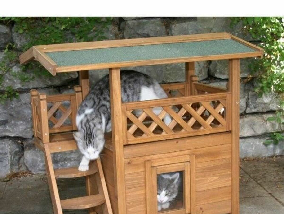 V5H254B72C00AD228647F2FA281C07803D4R7255056P3