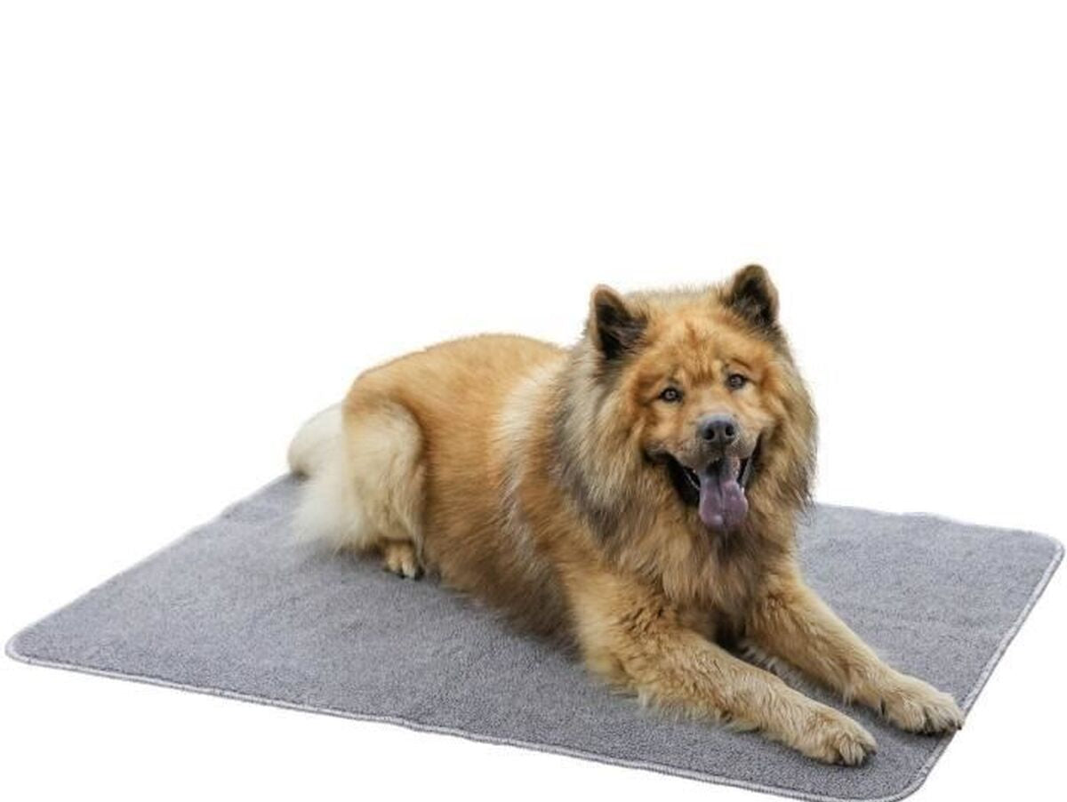 V2HDB59B67FB4B64EC3F91DB272FF73C023R7468017P6