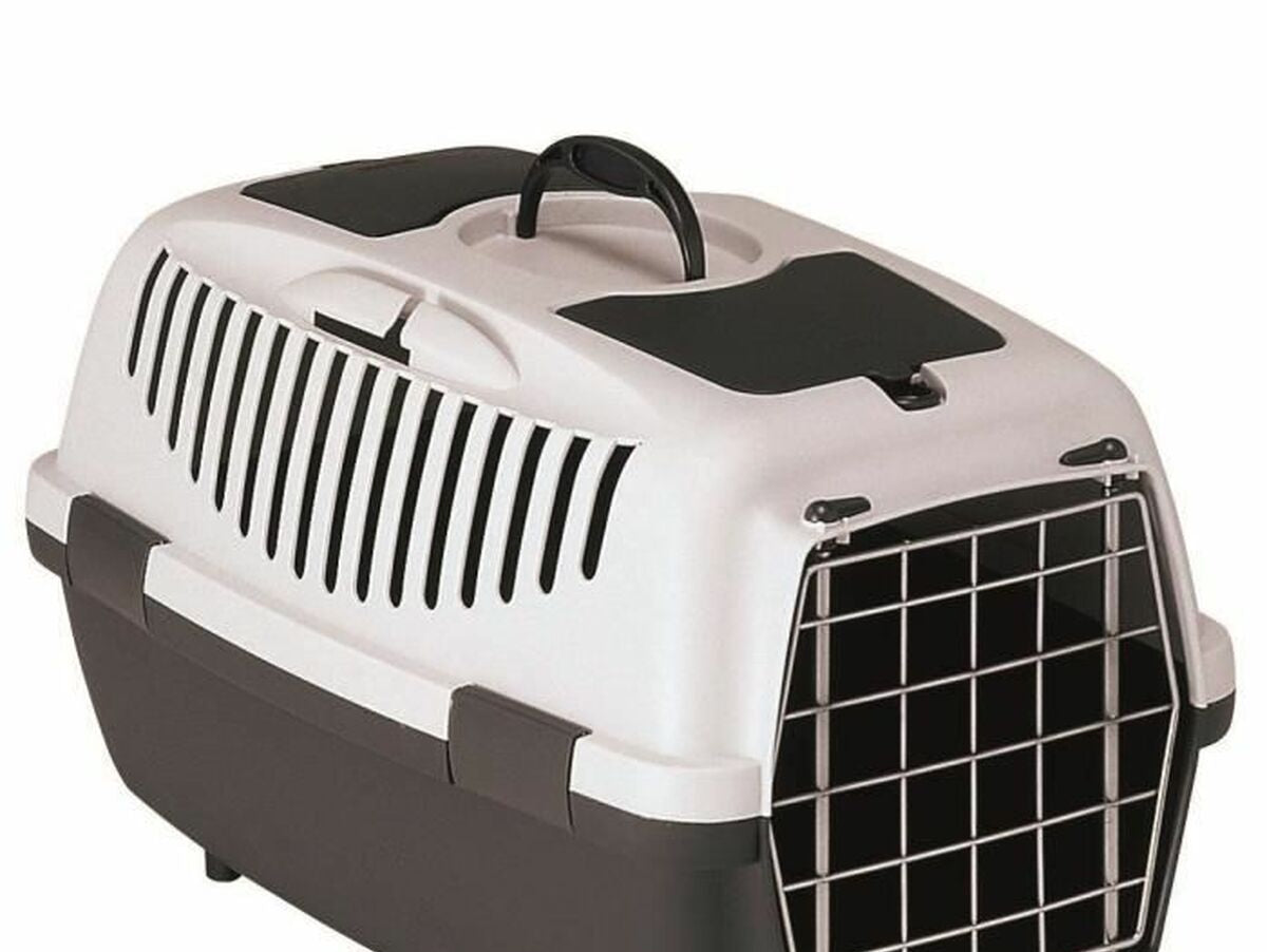 V6H68049CB8CD077205C6A32A8387B08EE7R4896850P1