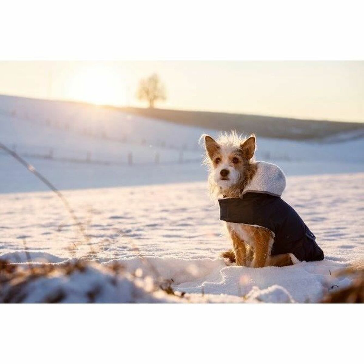 V3HE91DD9BAA862BB3964DD0EE886643A59R5763178P3