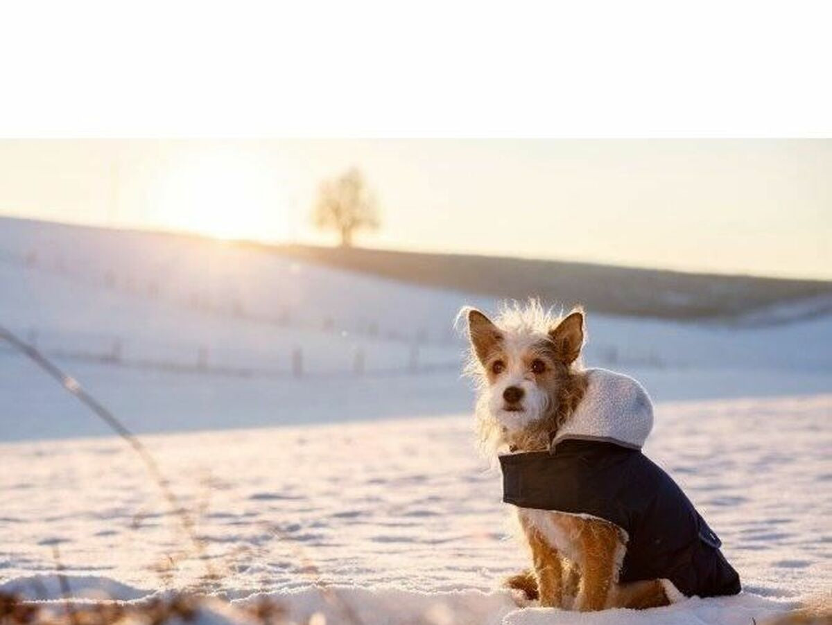 V3HE91DD9BAA862BB3964DD0EE886643A59R5763178P3