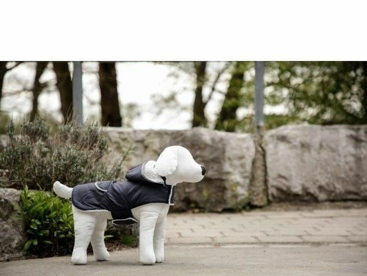 V3H522FF5F31D6C6BB433E7DBC97C4F9266R5763180P5