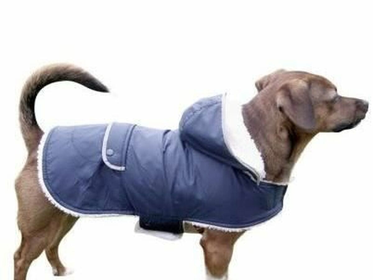 V5H22F15ADA07A415EC1D2B278F7FA04268R5762724P1