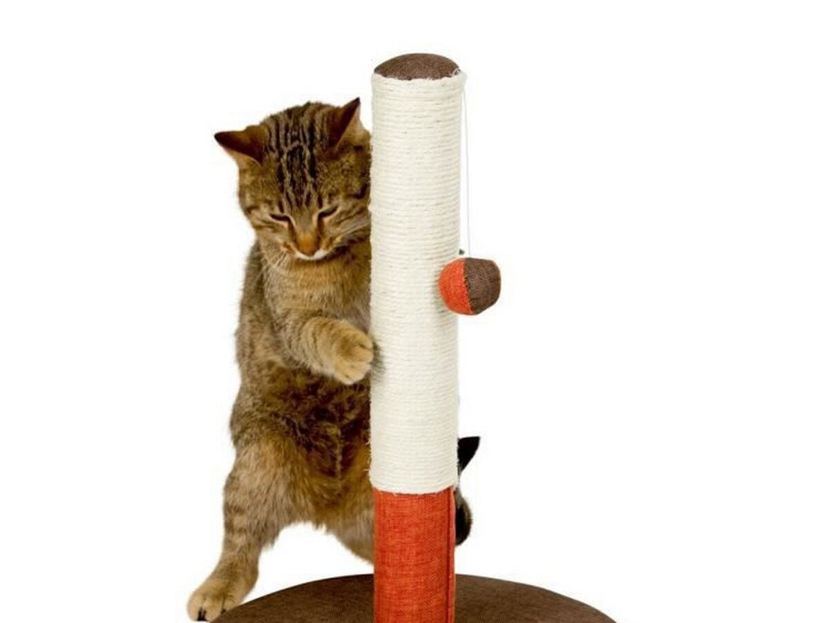 V5HB17FC970A2DD04769258D5ED18C2417FR5566228P1