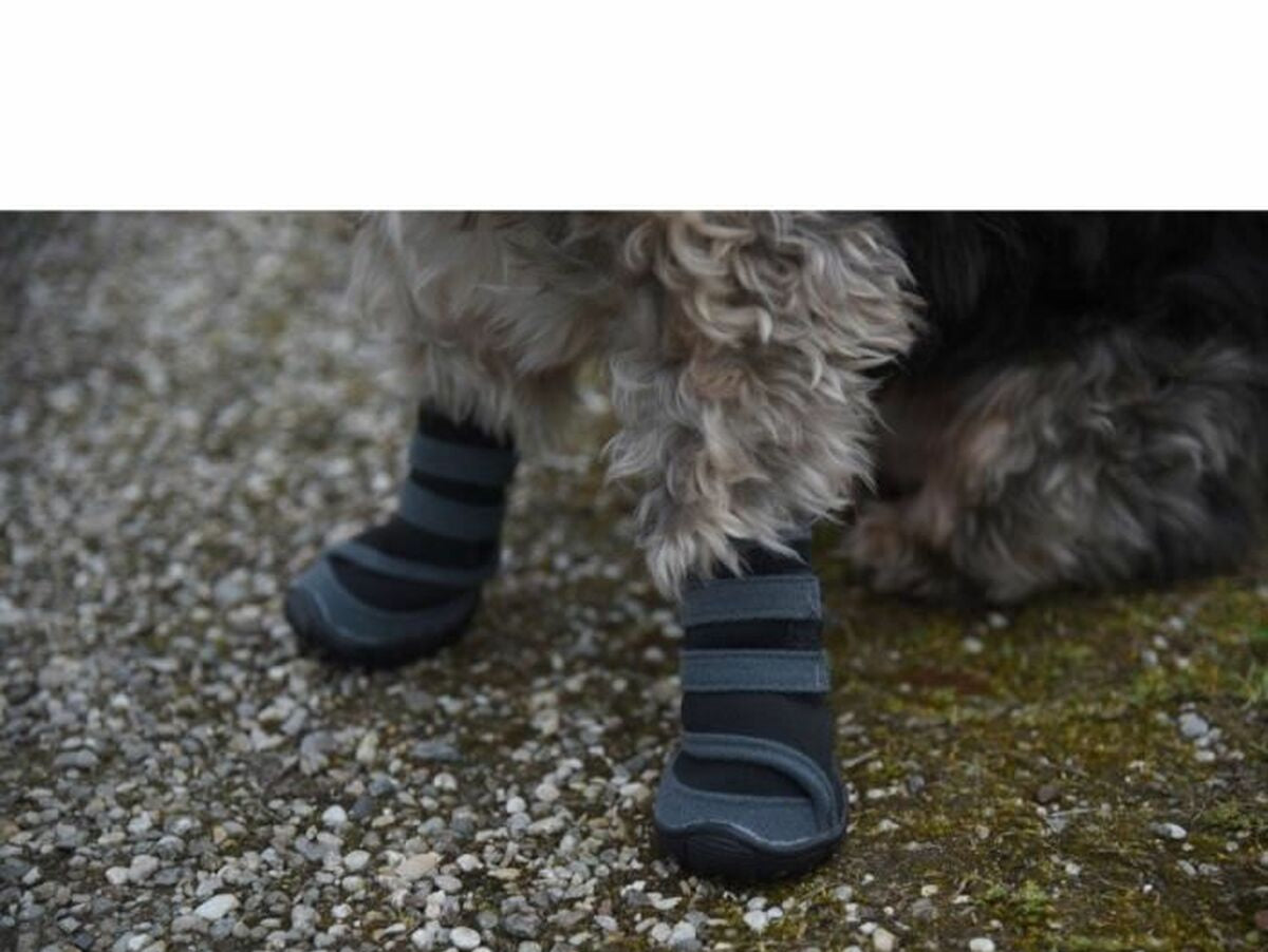 V4H7EC694992DCC5E74A892FD754310E183R7327834P3