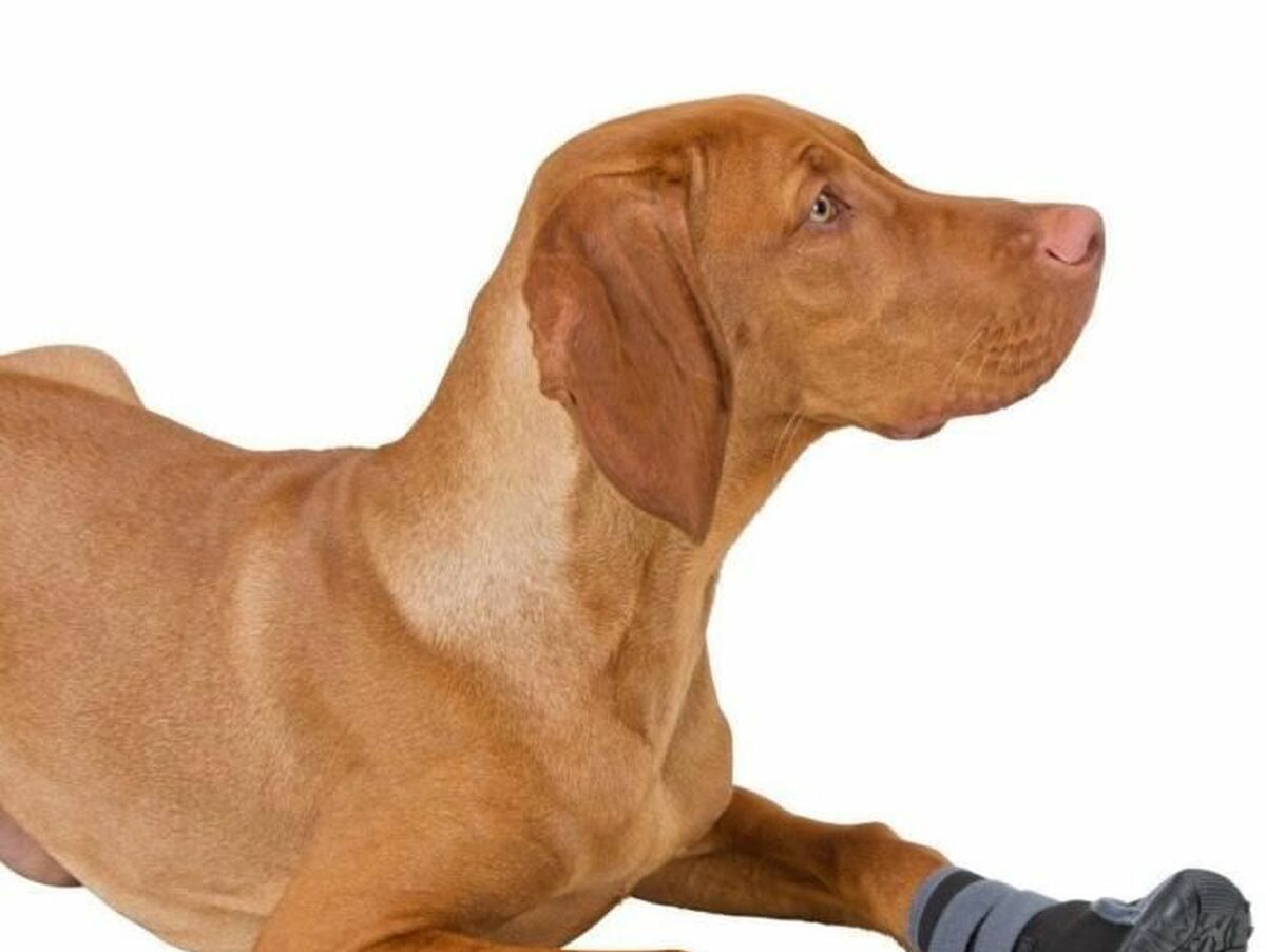 V4HF4561D90298049B1FFAA51D28C0BA16BR7327836P4