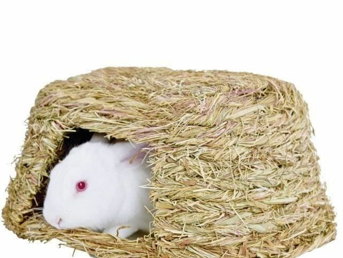 V5HDF37096EBB3005DEB17736C6DA26E183R5568290P2