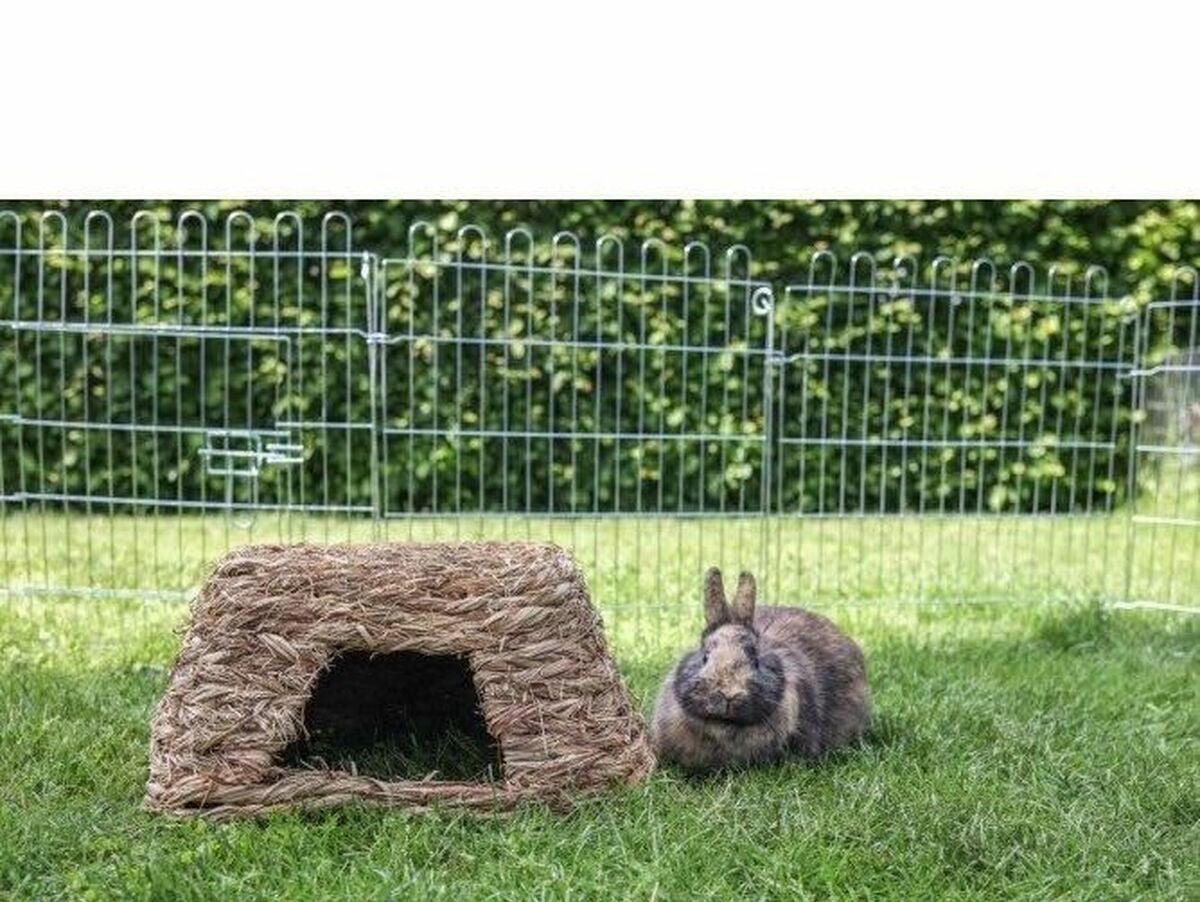 V5H0BE62BF455D67F53CD80085E524E8CDBR5568293P3