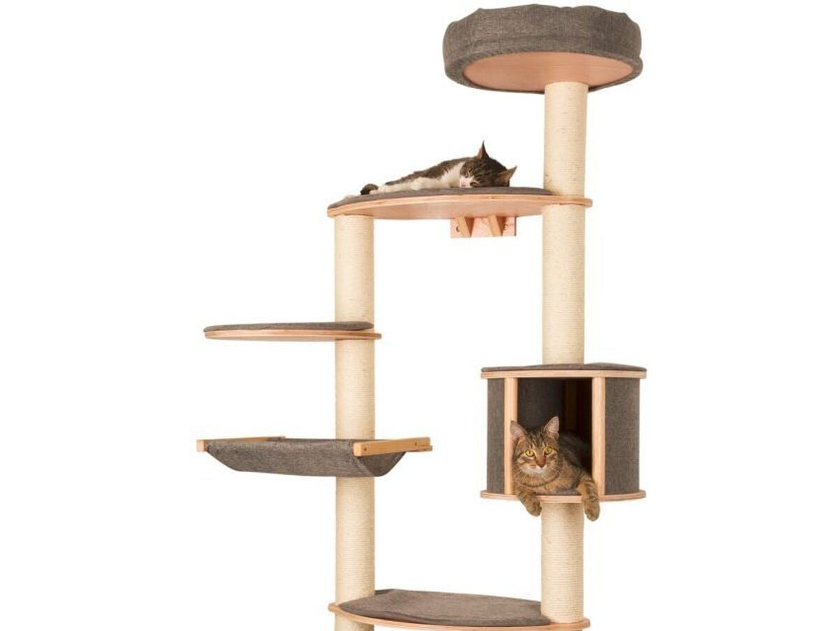 V2H16E068D847FF8A8D1B1FA313DD37447FR7479947P10