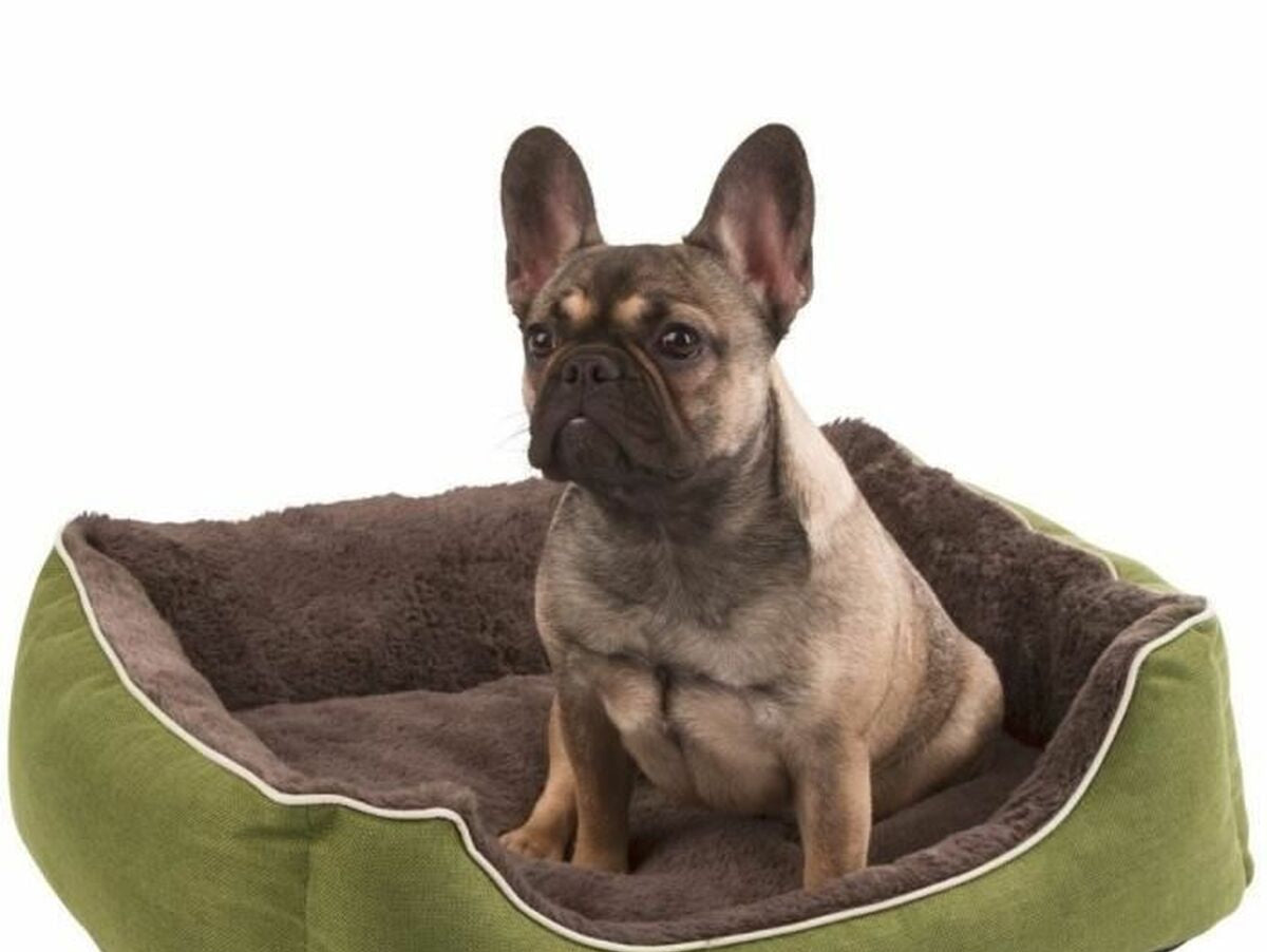 V7H981BE32237B954BD051CE544809A3C41R7191990P1