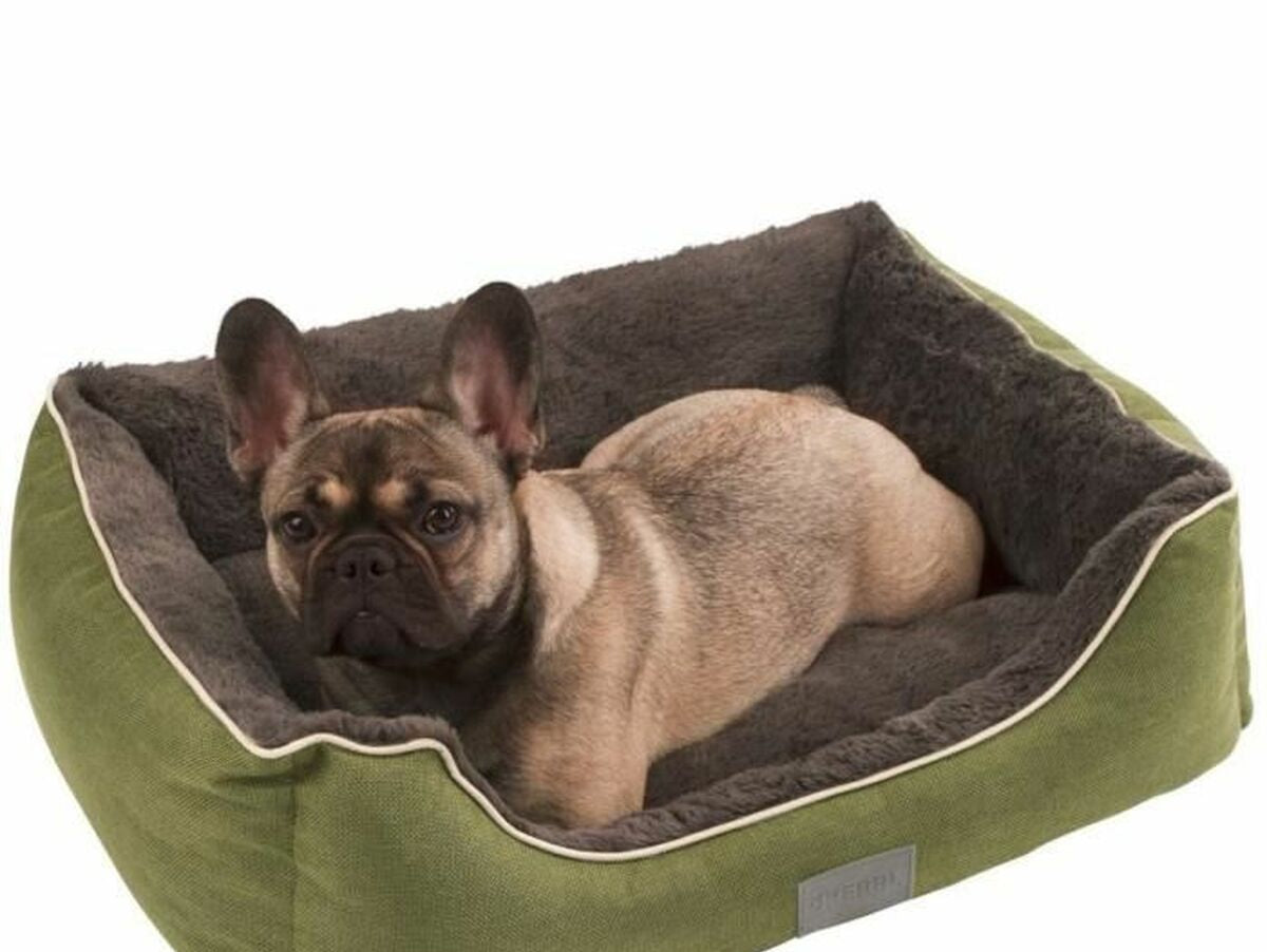 V4H01D53EB41351721CEC7E4E1D60F2DF2ER5568358P2