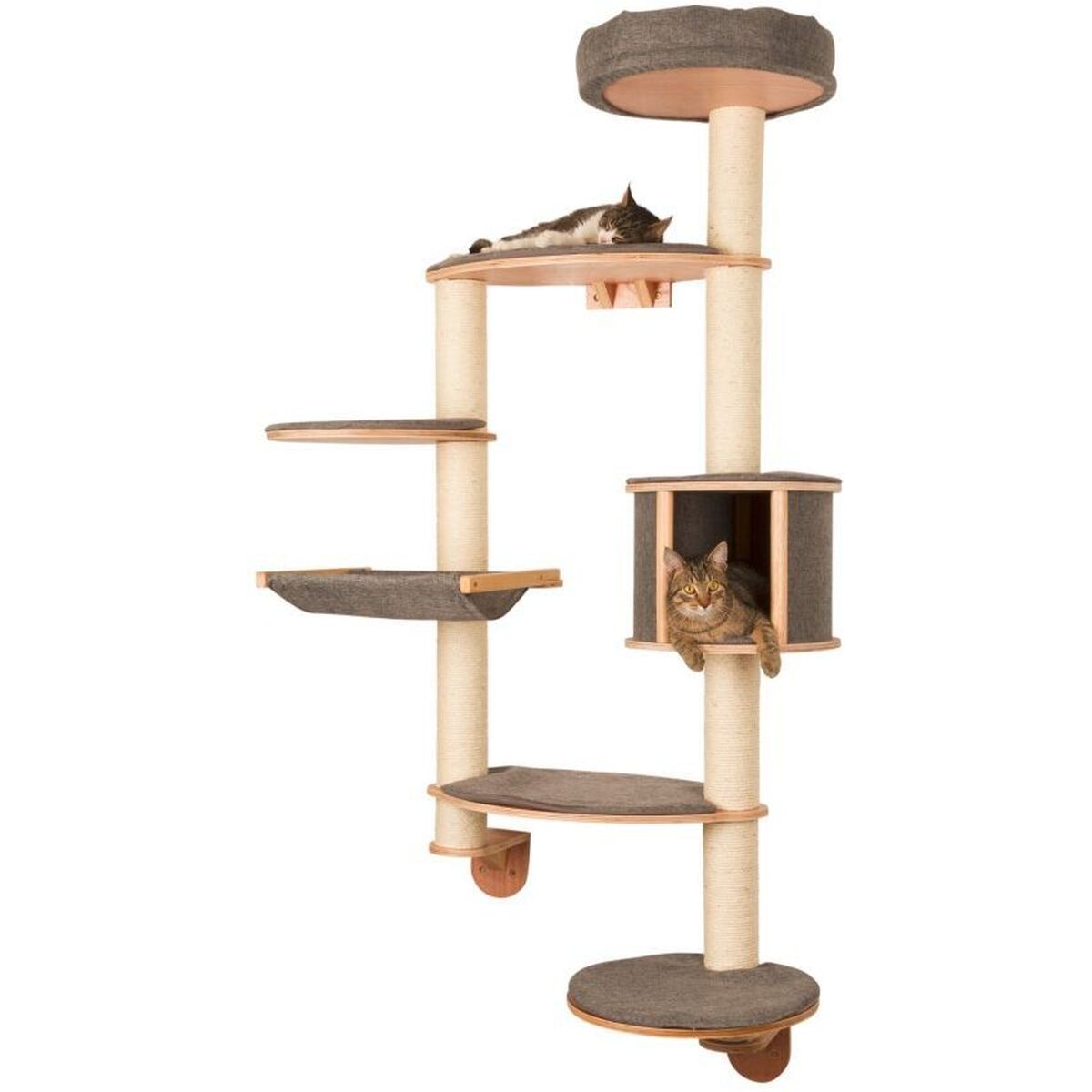 V2H578C9C97D8D93F9E02E96269C2FA6947R7479917P1