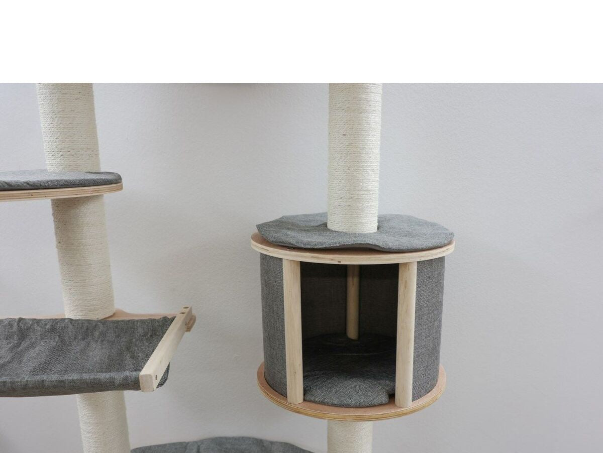 V2H1CD47D35D137BF74176BA3613E69F484R7479948P10