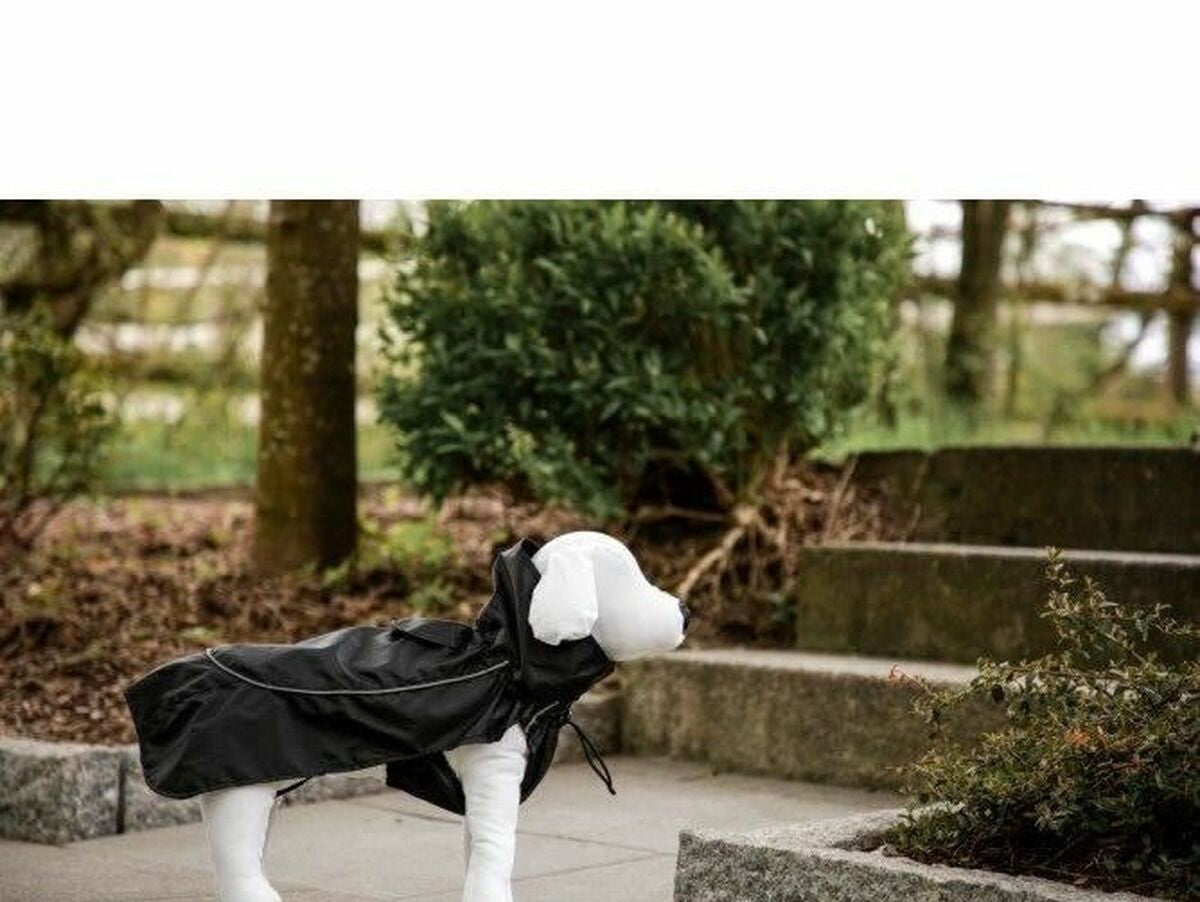 V3HAB5323469EAAE2337924876171F09971R5807581P4