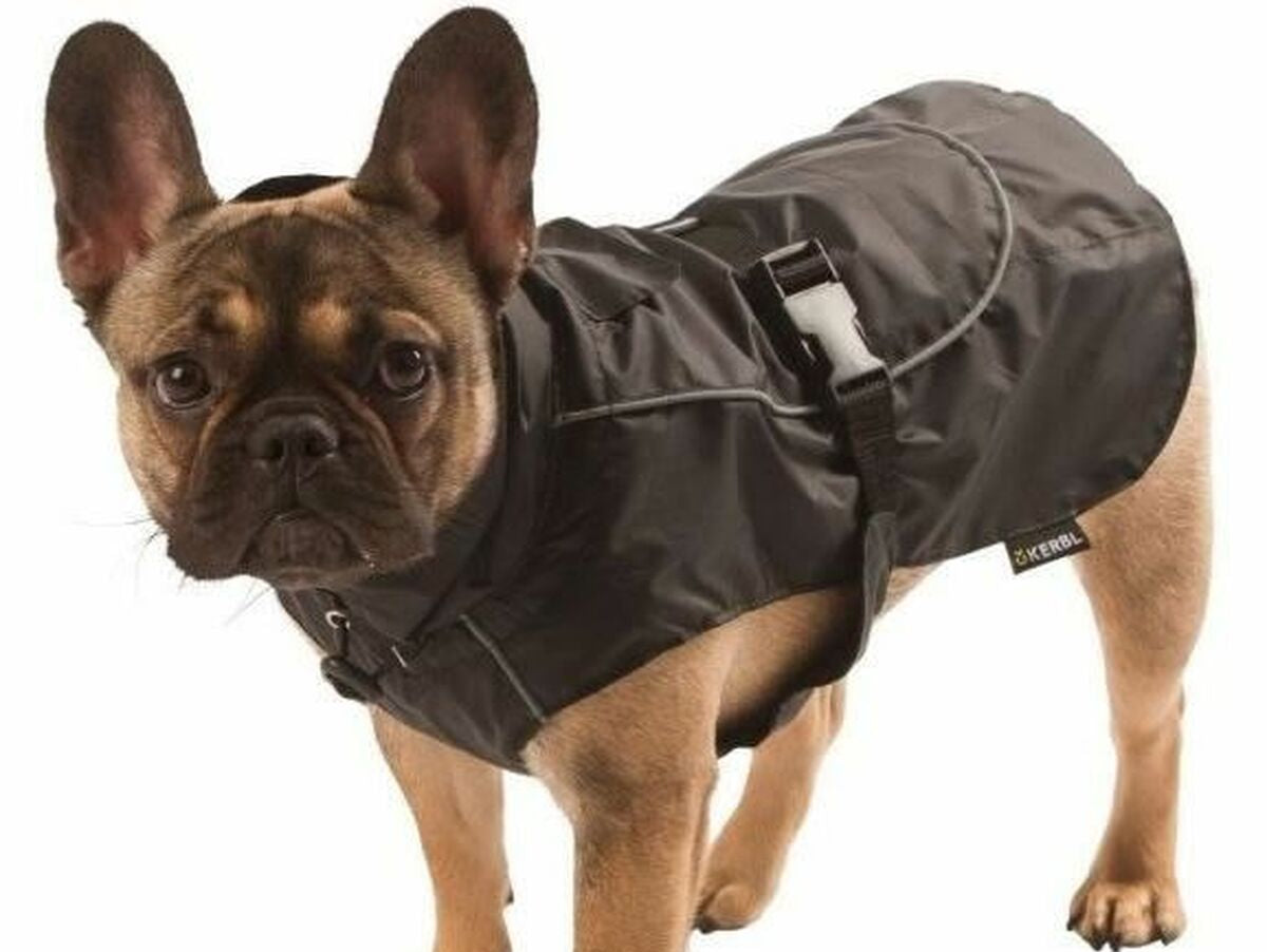 V5H86A9F09CE95731F9354BC27E9DB023DBR5807591P3