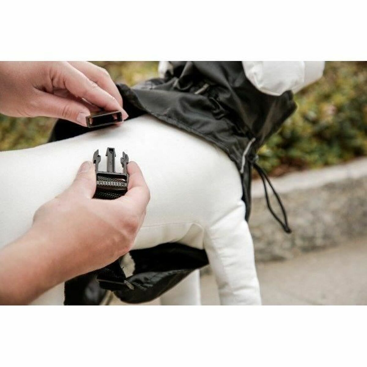 V5H2A00161FD07143649ABF2DB8AF42EE61R5807612P6