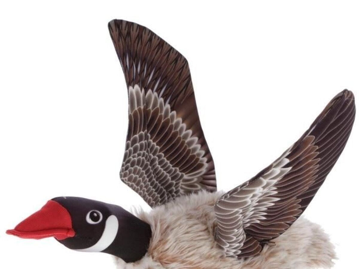 V2H546F6138CFE3292735972C5551960894R7467382P2