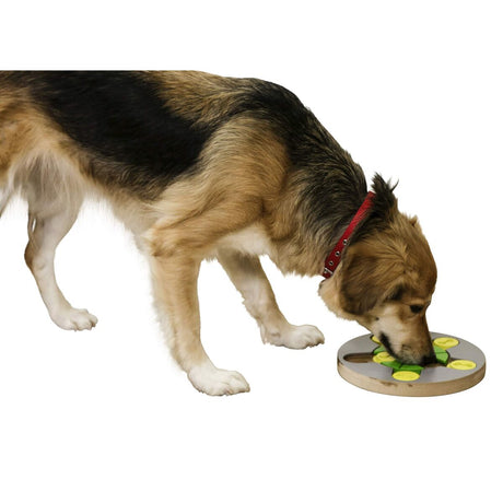 V2HBFA5086346F8A74F26247AAAE1C5BF8DR7467982P3