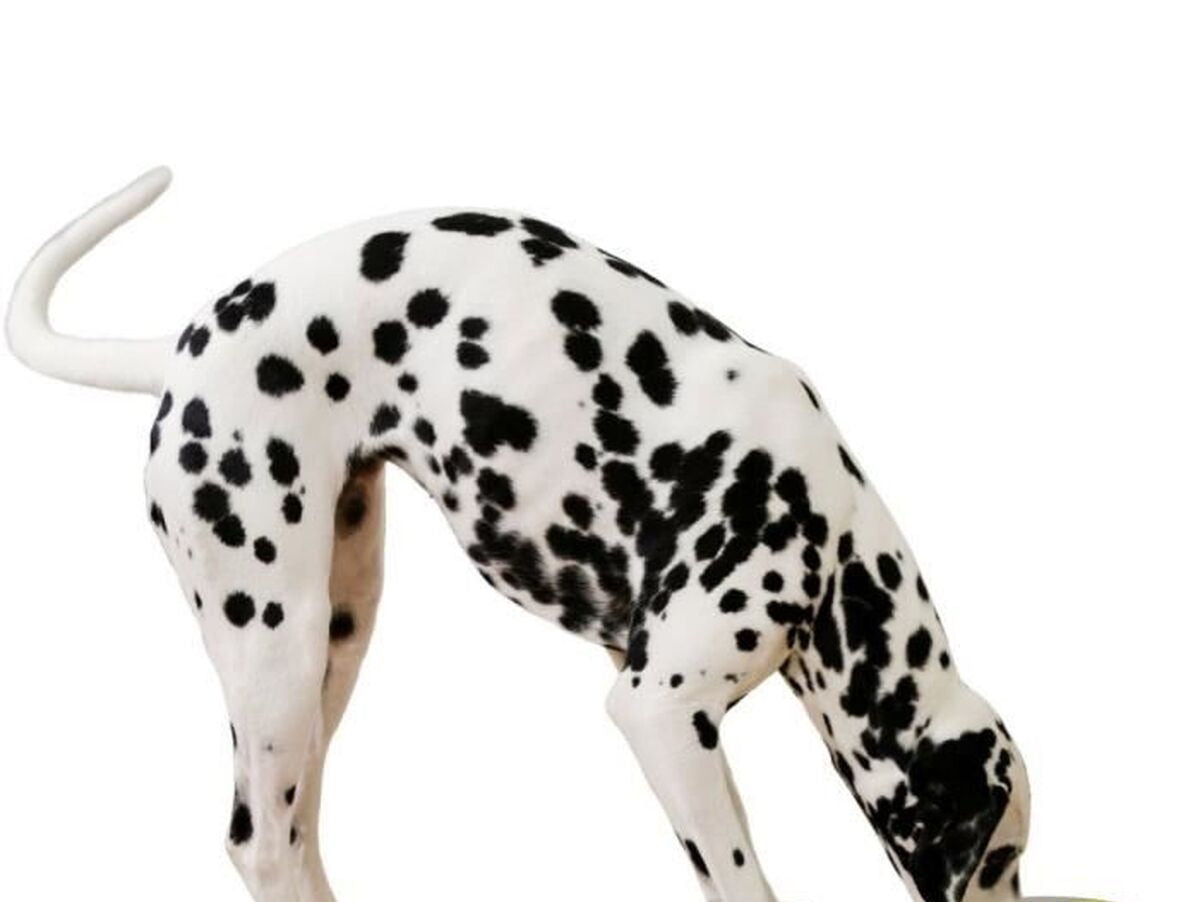 V2H720EB38E1602B48EDC11173E5D1F6CFBR7467988P6