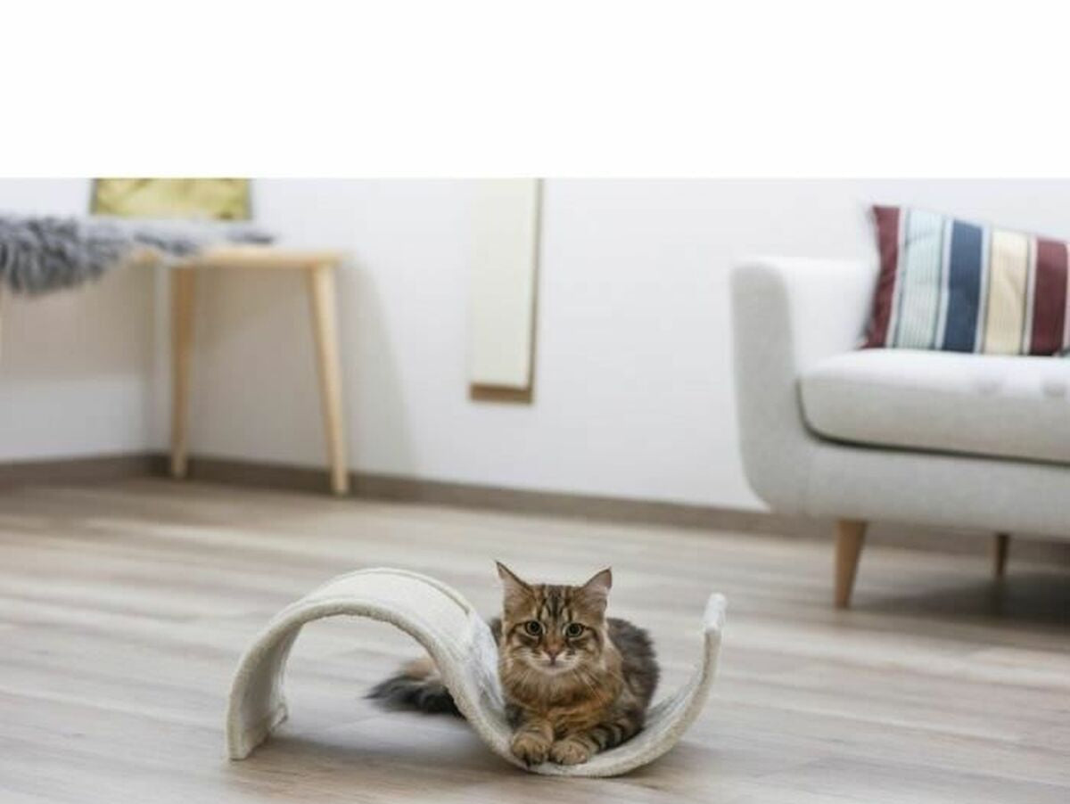 V5HFBF411100A72338657B6D3FA44679043R5763388P2