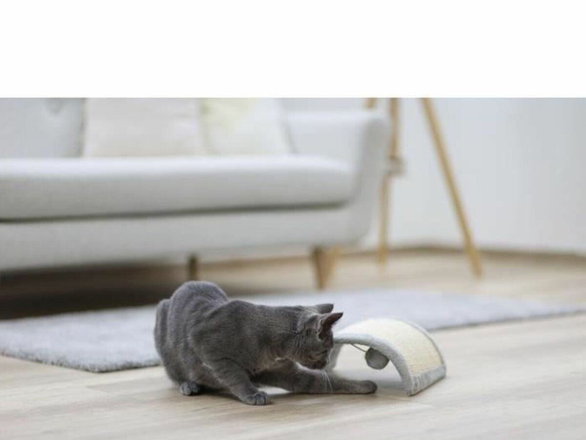 V8H49C504C8CF21B287619FB888553CD160R6622909P2