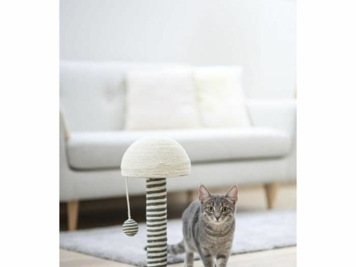 V7HF10BBE7DC92435F1A2B5C7877C4C5BBDR6397345P3