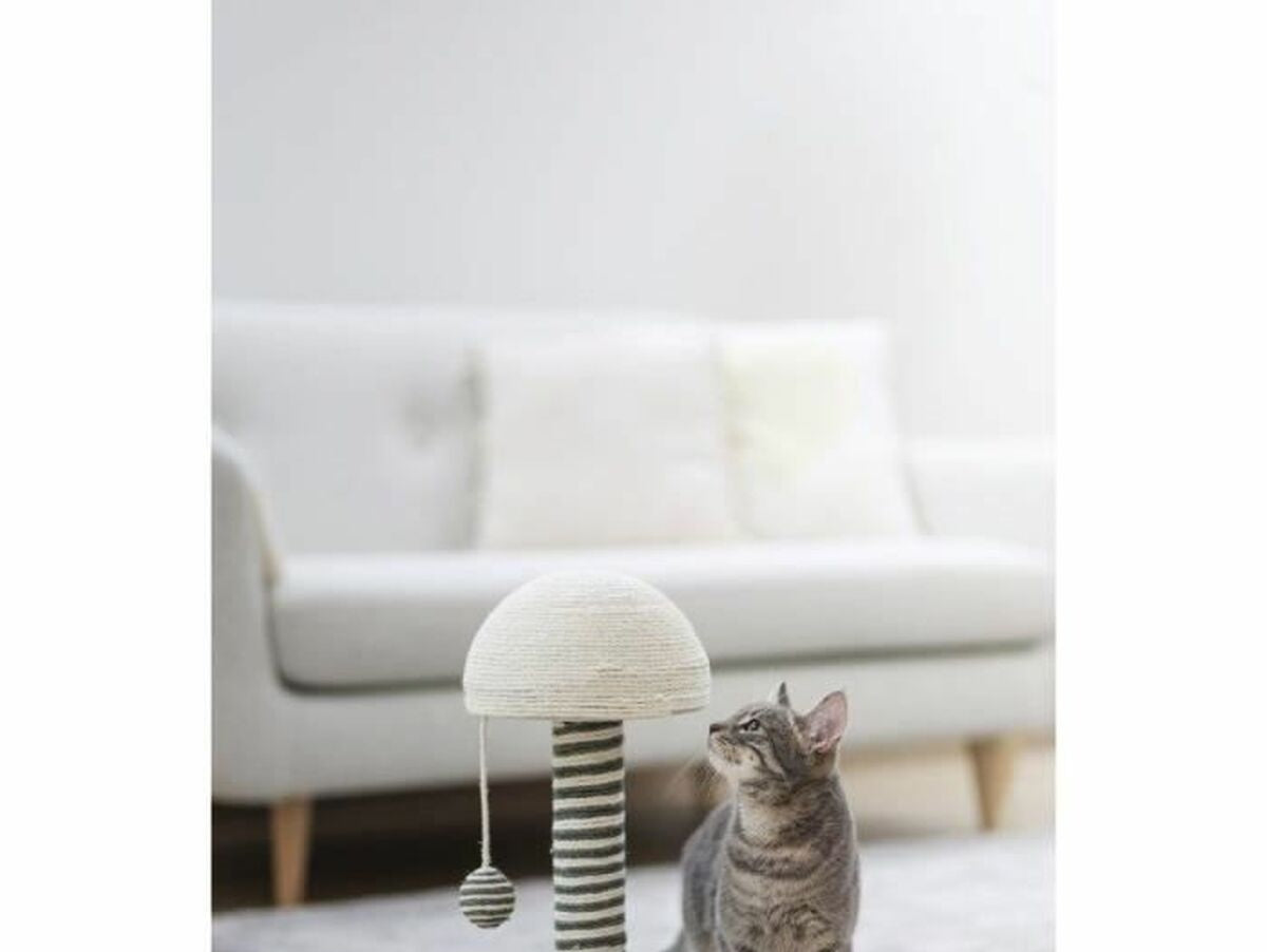 V7H4498016A17E9628C5FD22E2A8981B419R6397343P2