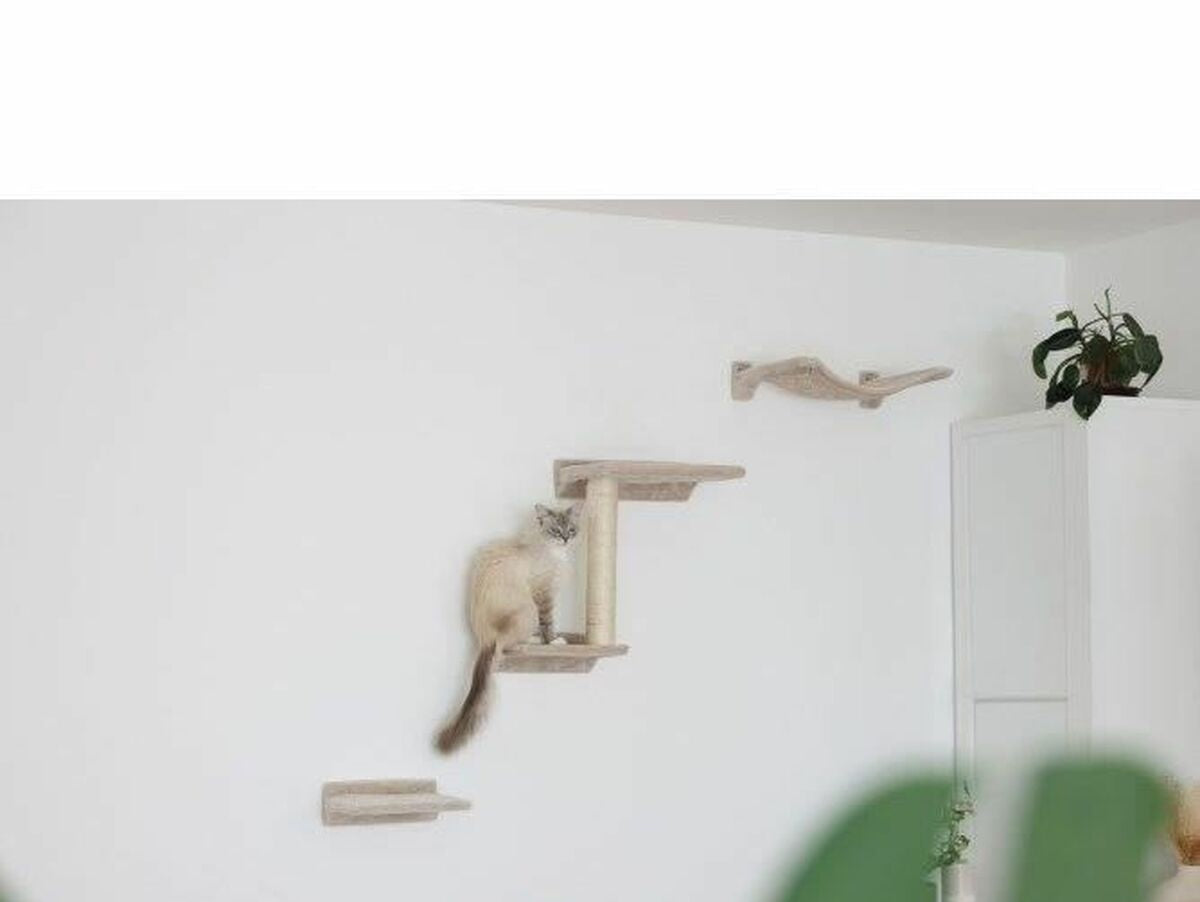 V5H1F704E7379A013D914680A6C3542F94CR4896645P5