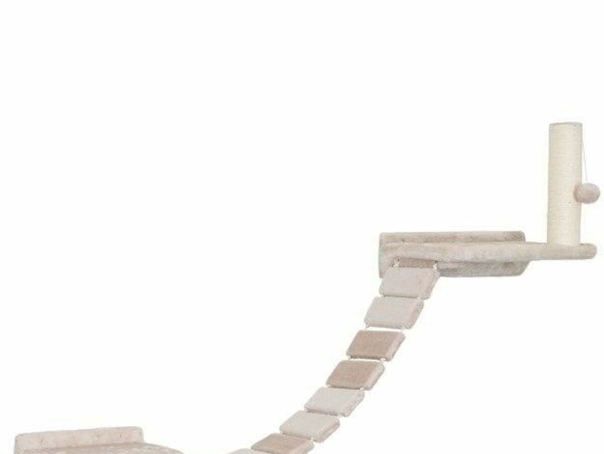 V6H1DC0C9C6A02D6554FDC2BA16B52A71CDR4896616P3