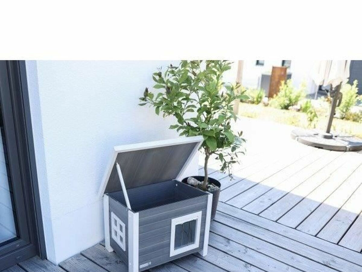 V6H3DA1597C4155F47F6522B22919EFDDCAR6617717P5