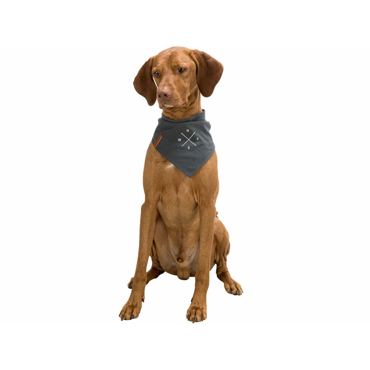 V4H697C662B17C285C01D164B6BB0245765R7453697P9