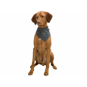 V4H697C662B17C285C01D164B6BB0245765R7453697P9