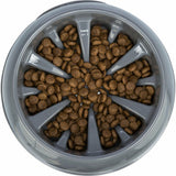 V5H7695EC825895CCF6814CFA72F7D09688R7455442P6