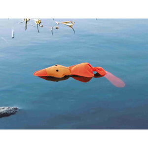 V8H645F377177CDF6E47EC51DEFEA2986B5R7443518P2