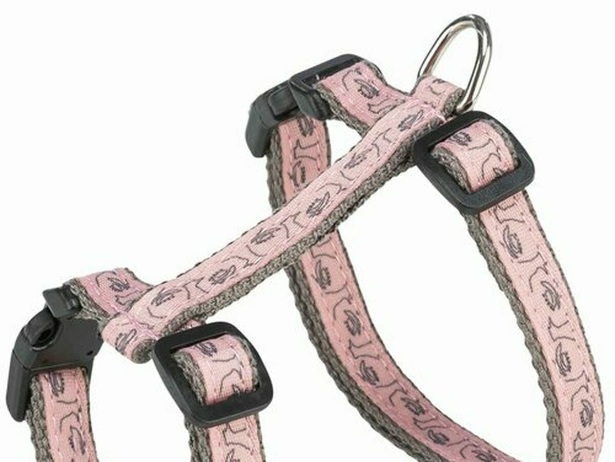 V3H74D6F36DDE7CECFEF3983EB8A7477F87R5769545P5