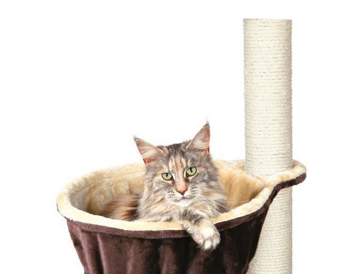 V7H3DD2B0122B61E25FB8E998123C0FDA58R5118472P1