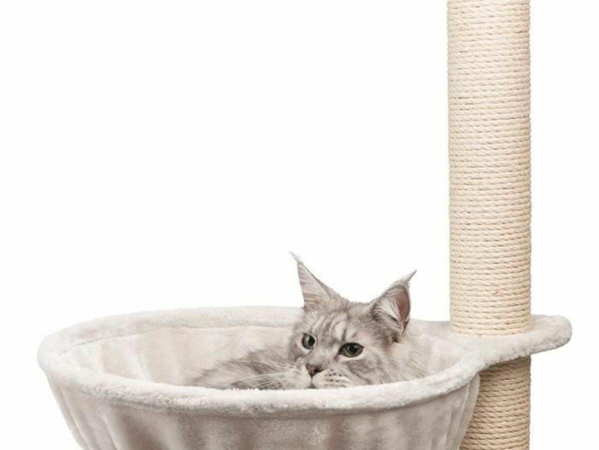 V4H472F325D3E07DC0075BE4D1864641C79R5060186P1