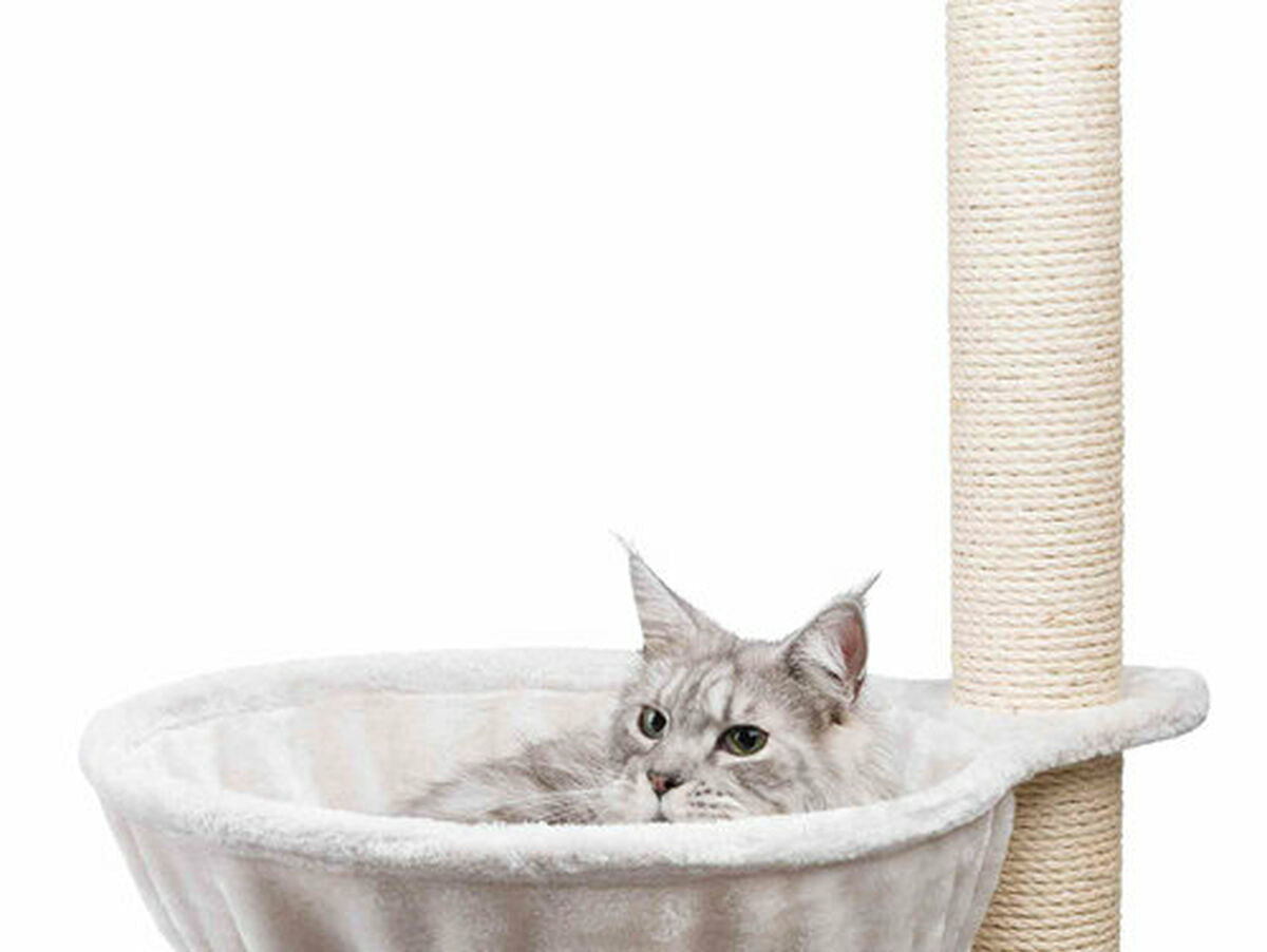 V4H8F77D9221E15BE4E135CA71252CC7FAAR5060189P2