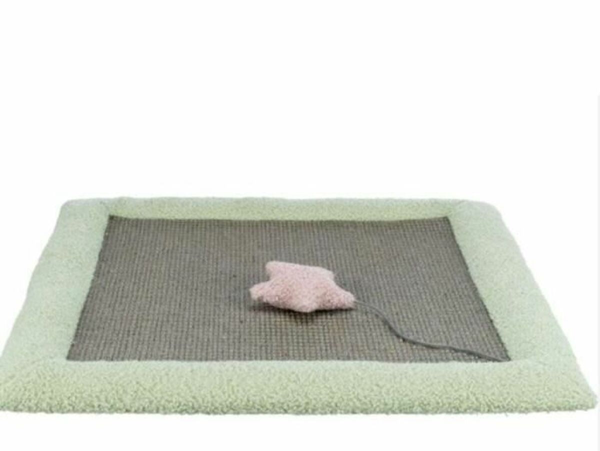 V5HDEBB19D8971641169BEC147C5FF1C27CR6669426P1