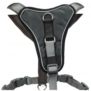 V7H29F62BE8807F2FFAAB7BCC57586FEA59R5330929P2
